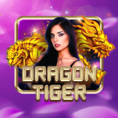 Dragon Tiger - Playtime Casino Kelowna Live Casino