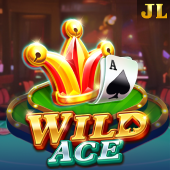 Wild Ace - Playtime Casino Kelowna